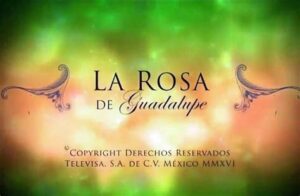 La rosa de Guadalupe,Franco Escamilla,Televisa